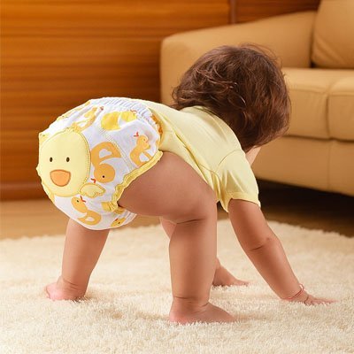 Culotte d'apprentissage | Confort Absorbant - Bebooz
